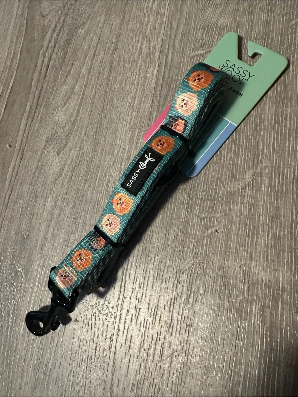 Teal Puppy Pattern Kids Leash